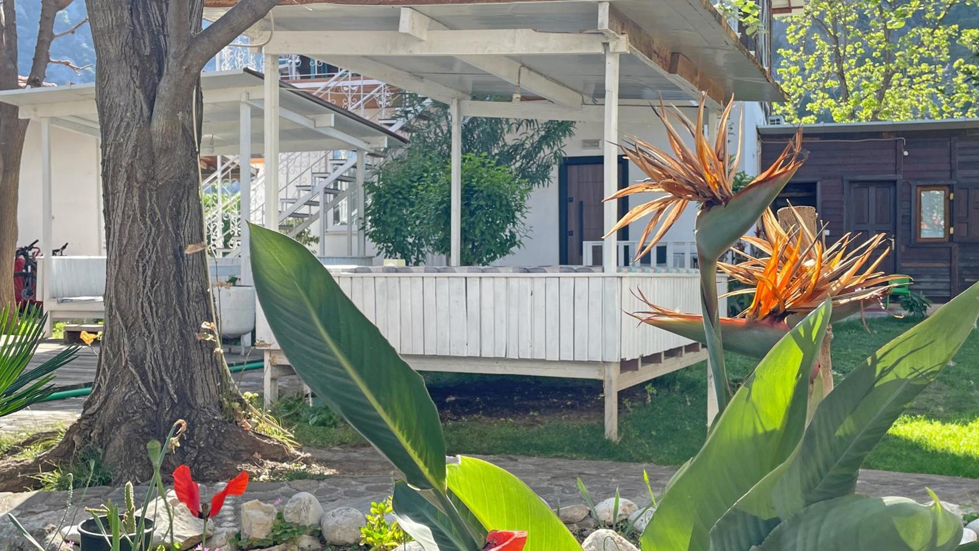 Jasmin Pansiyon Çıralı Exterior foto